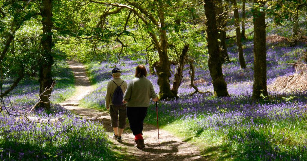 Loch Lomond Guides Bluebells © Loch Lomond Guides