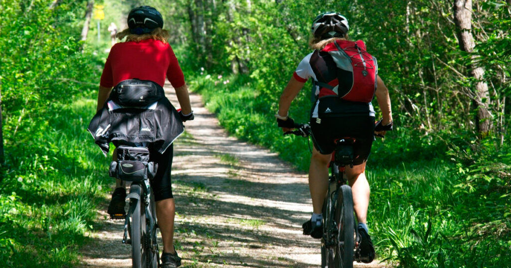 Photo of two people bikepacking along a trail through woods. Image source: https://pixabay.com/photos/cycling-leisure-recovery-forest-2520007/