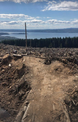 Helensburgh Trail System mountain bike trails. Image courtesy of Helensburgh Trail System