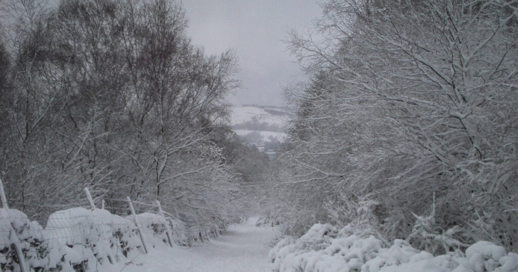 Highlandman's Road in the snow