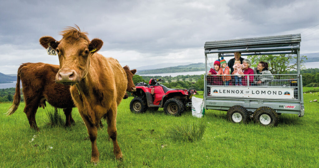 Lennox of Lomond farm tours